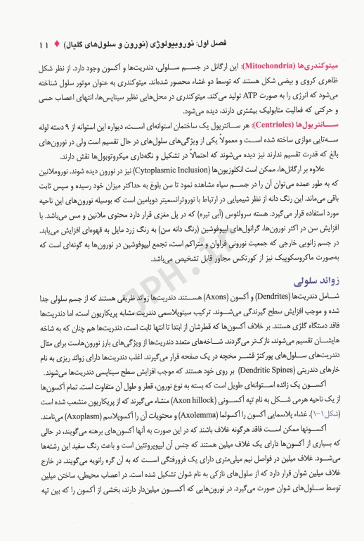 نوروآناتومی همراه با نکات بالینی دکتر اکبری