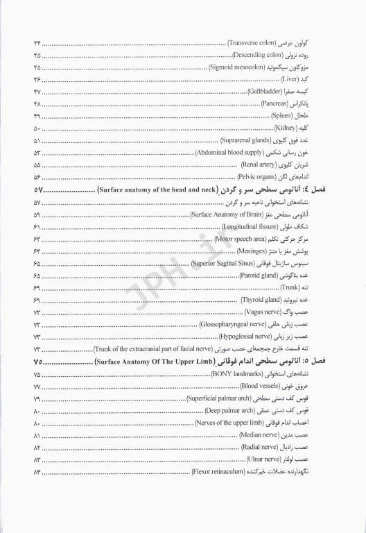 آناتومی سطحی بدن همراه با آموزش تصاویر رادیولوژی