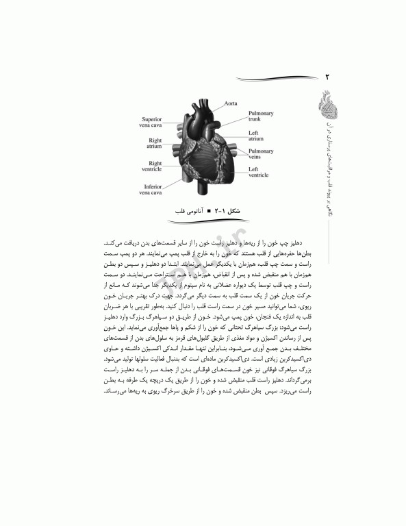 نگاهی بر پیوند قلب و مراقبت‌های پرستاری در آن