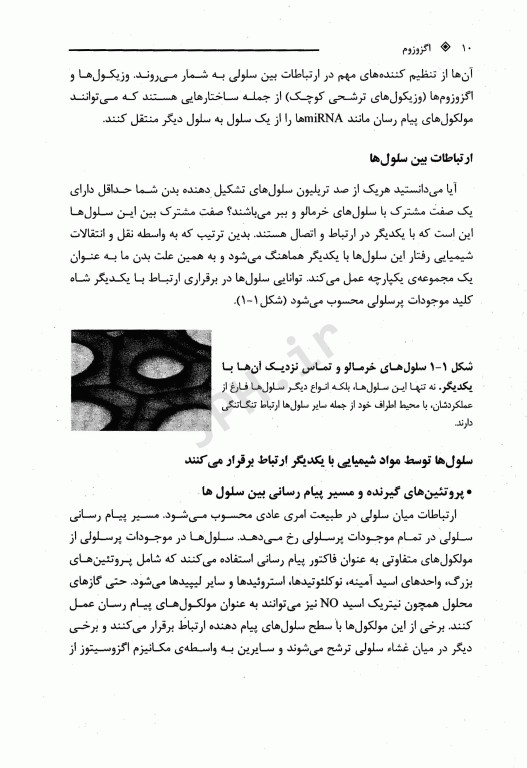 اگزوزوم‌ها، بسته‌های پیام‌رسان بین سلولی