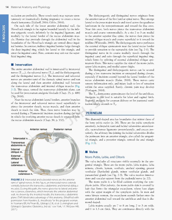 بارداری و زایمان ویلیامز 2022 | Williams Obstetrics 26th Edition