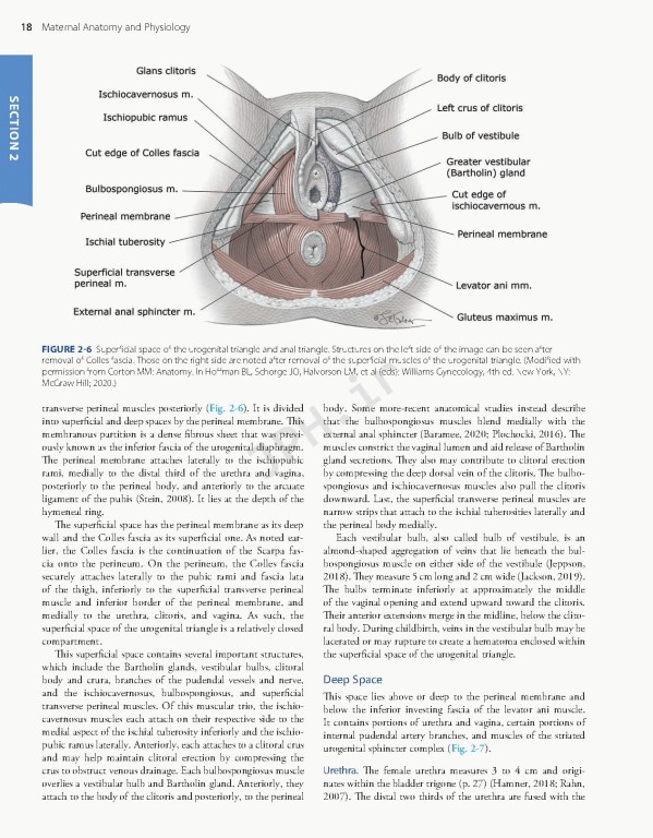 بارداری و زایمان ویلیامز 2022 | Williams Obstetrics 26th Edition