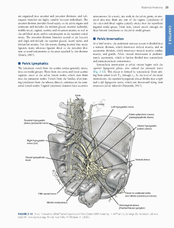 بارداری و زایمان ویلیامز 2022 | Williams Obstetrics 26th Edition