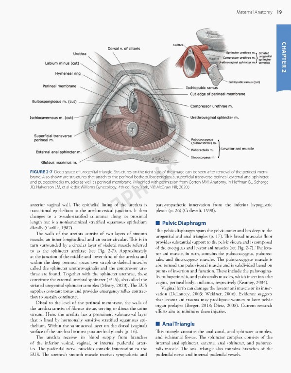 بارداری و زایمان ویلیامز 2022 | Williams Obstetrics 26th Edition