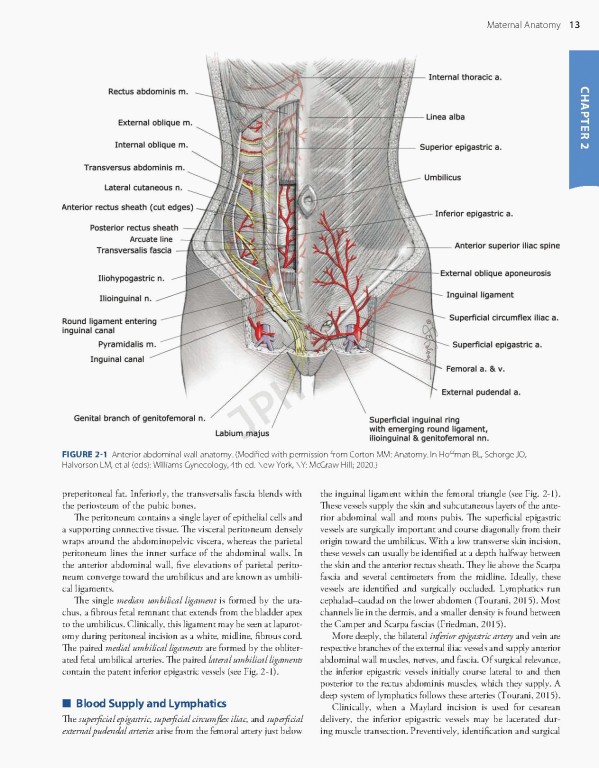 بارداری و زایمان ویلیامز 2022 | Williams Obstetrics 26th Edition