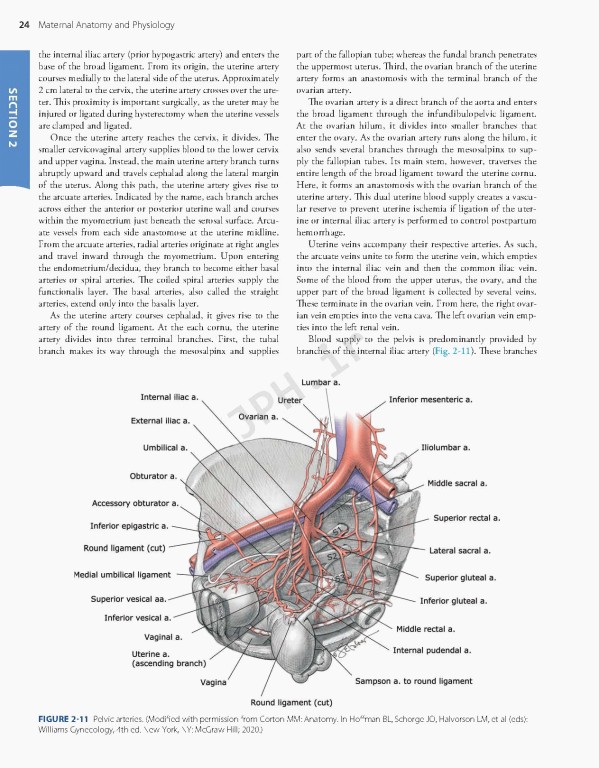 بارداری و زایمان ویلیامز 2022 | Williams Obstetrics 26th Edition