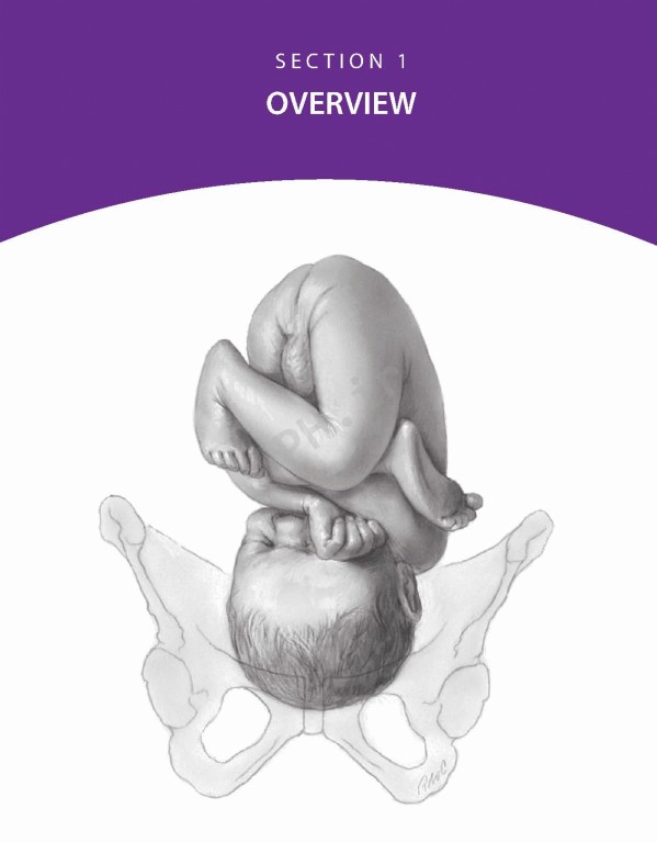 بارداری و زایمان ویلیامز 2022 | Williams Obstetrics 26th Edition