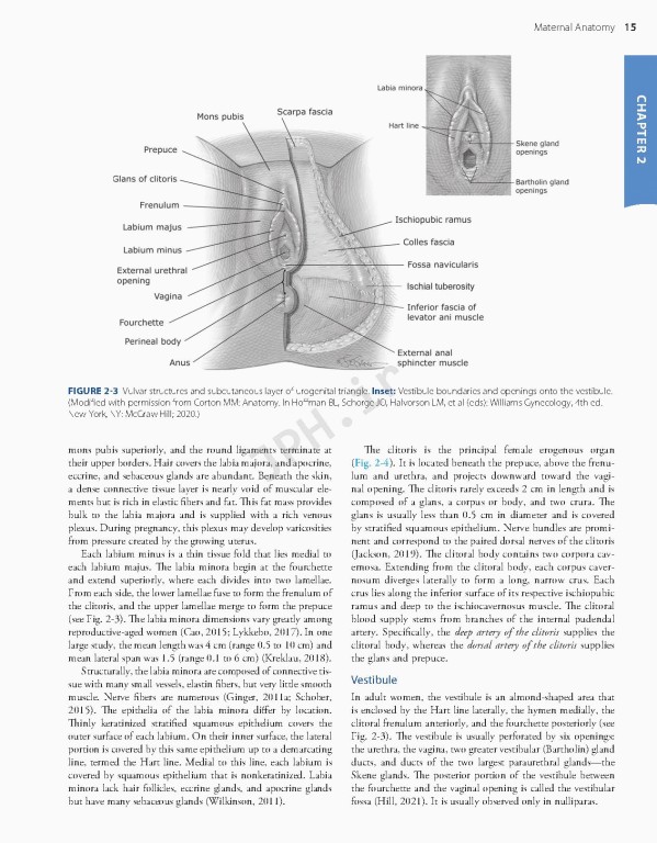 بارداری و زایمان ویلیامز 2022 | Williams Obstetrics 26th Edition