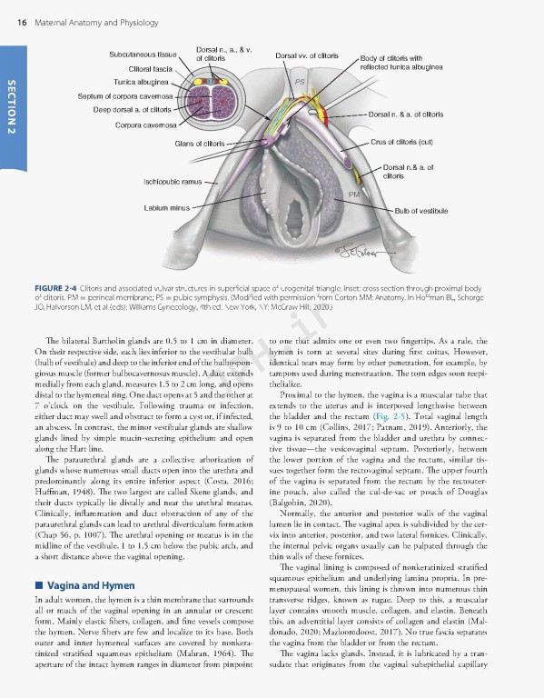 بارداری و زایمان ویلیامز 2022 | Williams Obstetrics 26th Edition