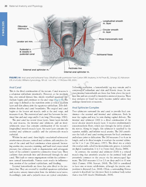 بارداری و زایمان ویلیامز 2022 | Williams Obstetrics 26th Edition