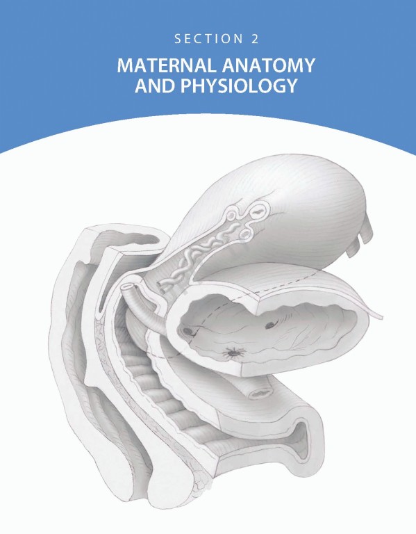 بارداری و زایمان ویلیامز 2022 | Williams Obstetrics 26th Edition