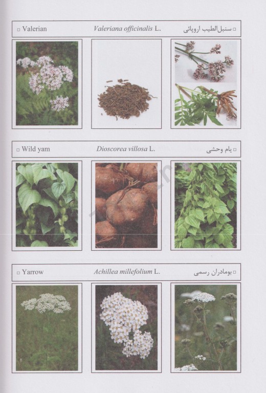 گیاهان دارویی نگرشی مبتنی بر شواهد و مستندات علمی