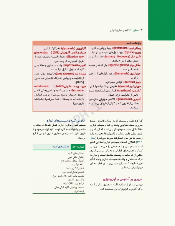 پرستاری داخلی و جراحی برونر و سودارث 2022 جلد11 کلیه و مجاری ادراری