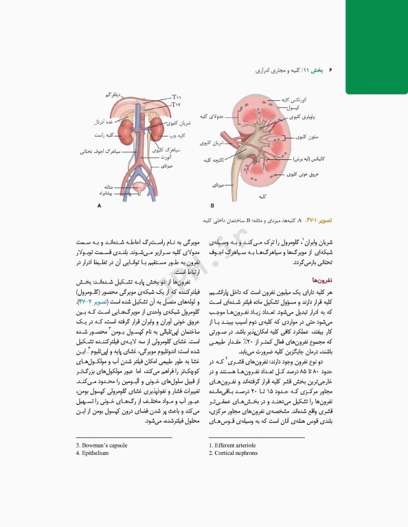 پرستاری داخلی و جراحی برونر و سودارث 2022 جلد11 کلیه و مجاری ادراری