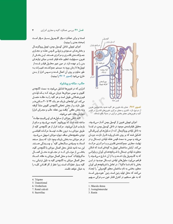 پرستاری داخلی و جراحی برونر و سودارث 2022 جلد11 کلیه و مجاری ادراری