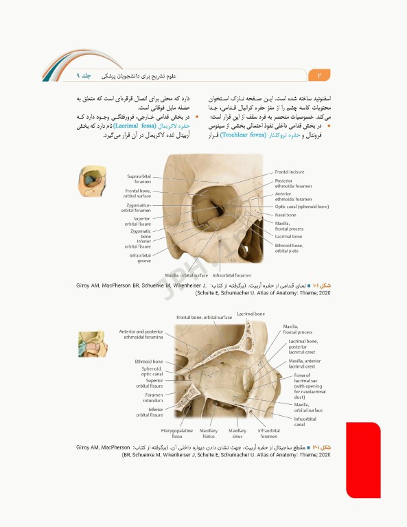 علوم تشریح برای دانشجویان پزشکی جلد9 دستگاه حواس ویژه