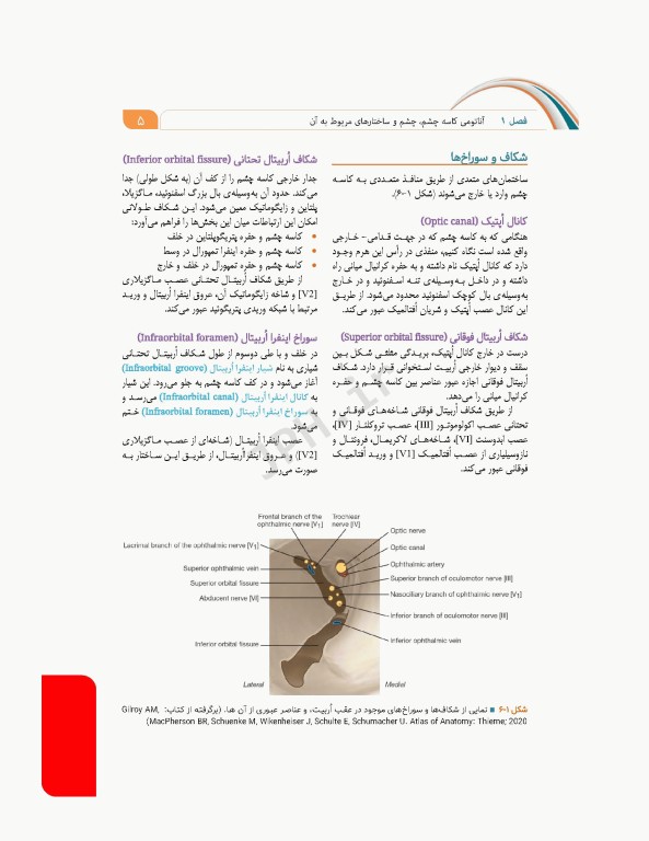 علوم تشریح برای دانشجویان پزشکی جلد9 دستگاه حواس ویژه