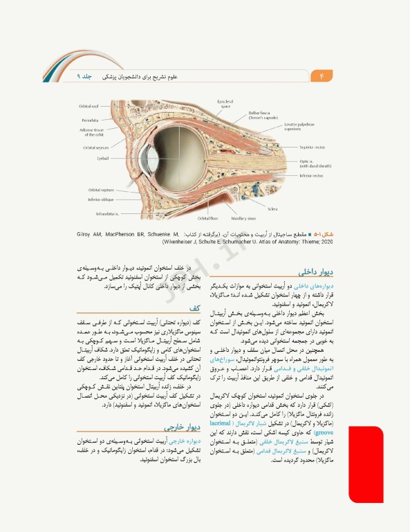 علوم تشریح برای دانشجویان پزشکی جلد9 دستگاه حواس ویژه