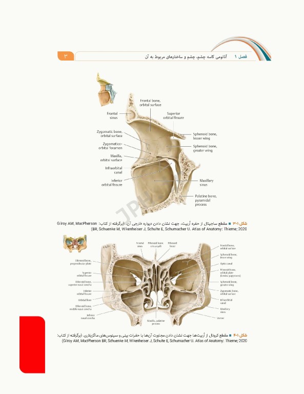 علوم تشریح برای دانشجویان پزشکی جلد9 دستگاه حواس ویژه