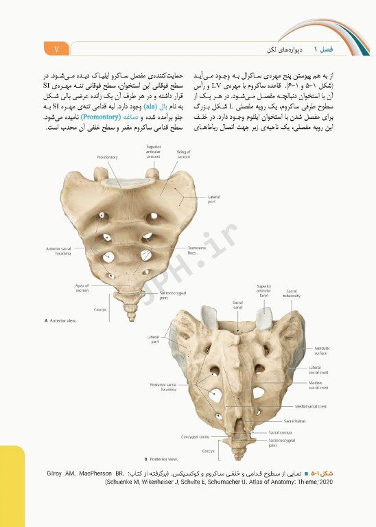 علوم تشریح برای دانشجویان پزشکی جلد10 دستگاه ادراری تناسلی