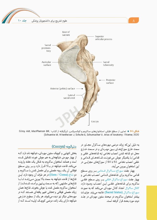 علوم تشریح برای دانشجویان پزشکی جلد10 دستگاه ادراری تناسلی
