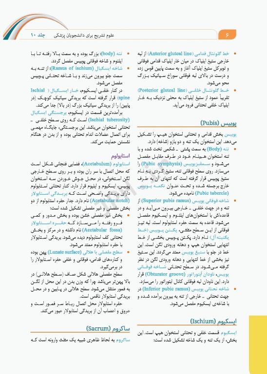 علوم تشریح برای دانشجویان پزشکی جلد10 دستگاه ادراری تناسلی