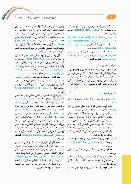 علوم تشریح برای دانشجویان پزشکی جلد10 دستگاه ادراری تناسلی