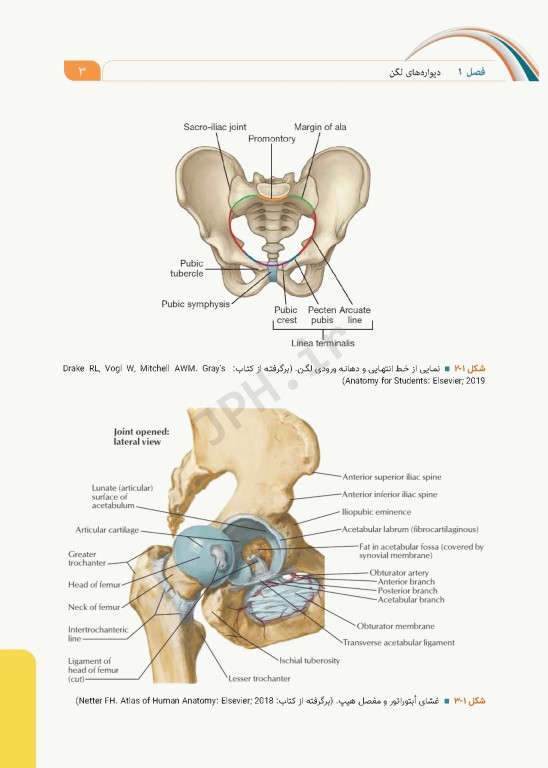 علوم تشریح برای دانشجویان پزشکی جلد10 دستگاه ادراری تناسلی