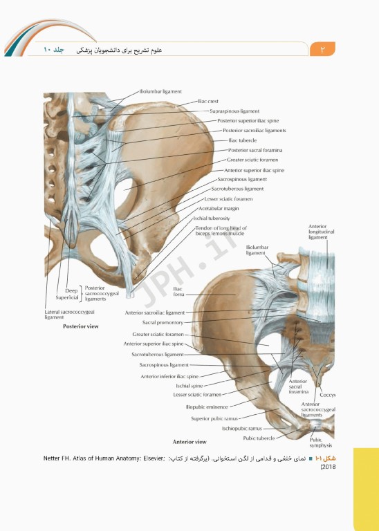 علوم تشریح برای دانشجویان پزشکی جلد10 دستگاه ادراری تناسلی