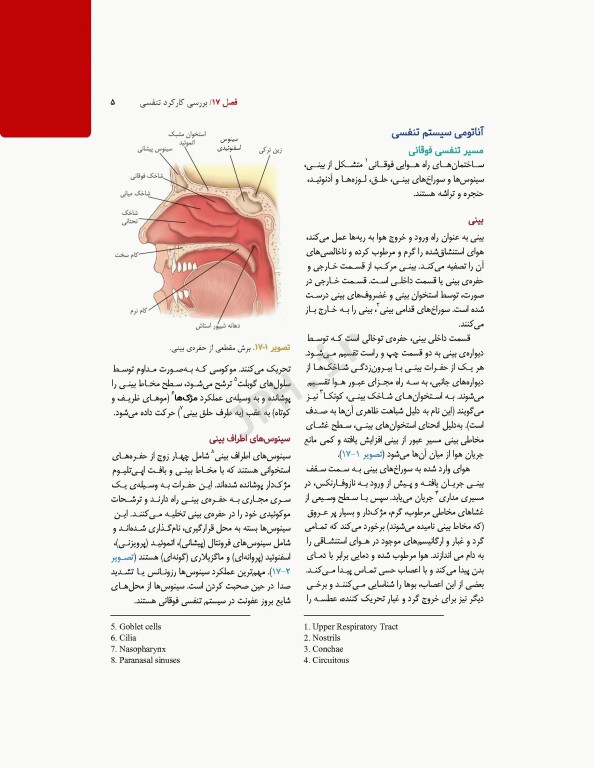 پرستاری داخلی و جراحی برونر و سودارث 2022 جلد4 تنفس و تبادلات گازی