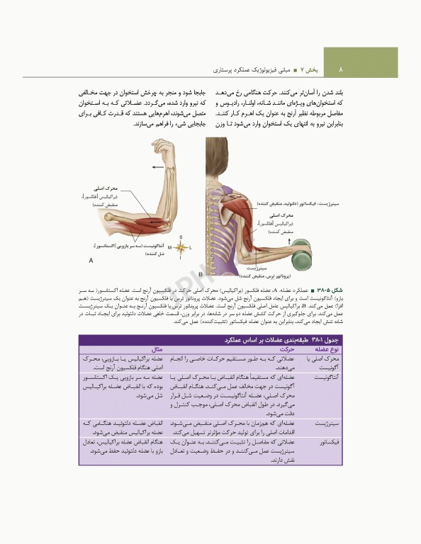 اصول و مبانی پرستاری پاتروپری 2021 جلد7 مبانی فیزیولوژیک عملکرد پرستاری