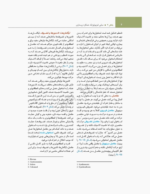 اصول و مبانی پرستاری پاتروپری 2021 جلد7 مبانی فیزیولوژیک عملکرد پرستاری