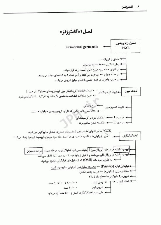 خلاصه جنین‌شناسی لانگمن 2020 با متد الگوریتمی
