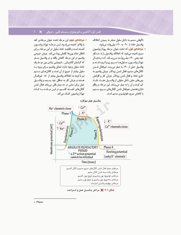 مراقبت‌های جامع پرستاری در بخش‌های مراقبت‌های ویژه دیالیز، ICU ،CCU تالیف دکتر فاطمه بهرام‌نژاد