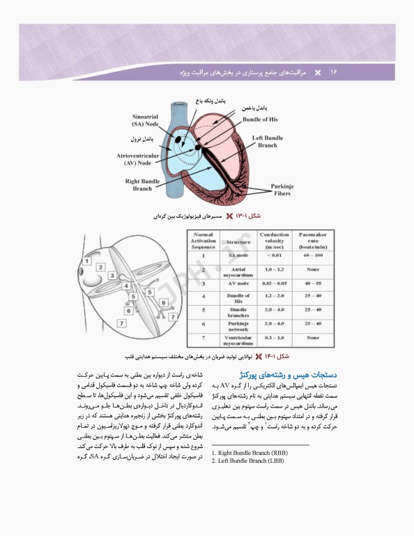 مراقبت‌های جامع پرستاری در بخش‌های مراقبت‌های ویژه دیالیز، ICU ،CCU تالیف دکتر فاطمه بهرام‌نژاد