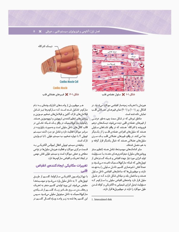 مراقبت‌های جامع پرستاری در بخش‌های مراقبت‌های ویژه دیالیز، ICU ،CCU تالیف دکتر فاطمه بهرام‌نژاد