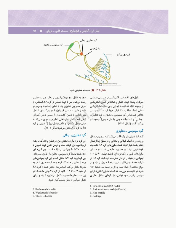 مراقبت‌های جامع پرستاری در بخش‌های مراقبت‌های ویژه دیالیز، ICU ،CCU تالیف دکتر فاطمه بهرام‌نژاد