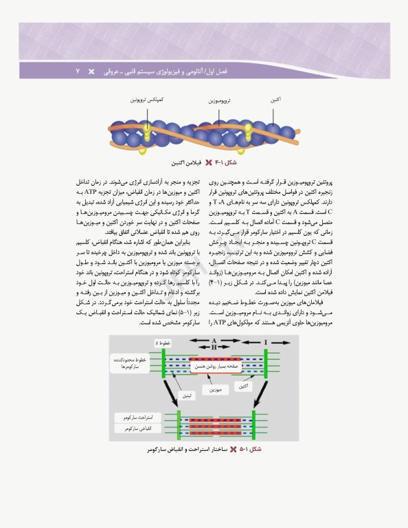 مراقبت‌های جامع پرستاری در بخش‌های مراقبت‌های ویژه دیالیز، ICU ،CCU تالیف دکتر فاطمه بهرام‌نژاد