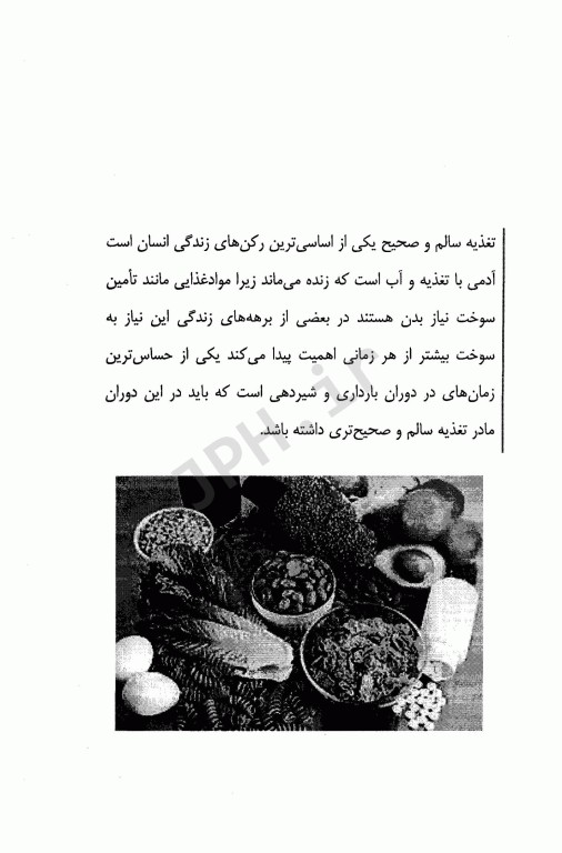 تغذیه در دوران بارداری و شیردهی زهرا داودیان