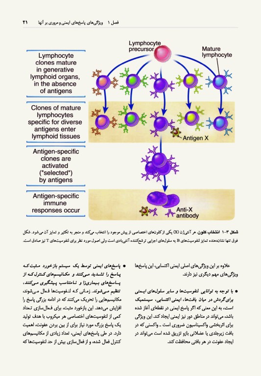 ایمونولوژی سلولی و مولکولی ابوالعباس 2022 دکتر کیهانی