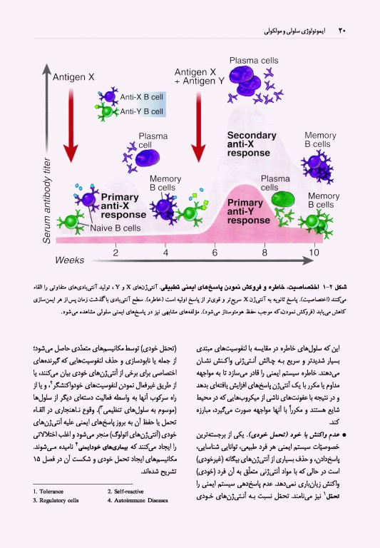 ایمونولوژی سلولی و مولکولی ابوالعباس 2022 دکتر کیهانی