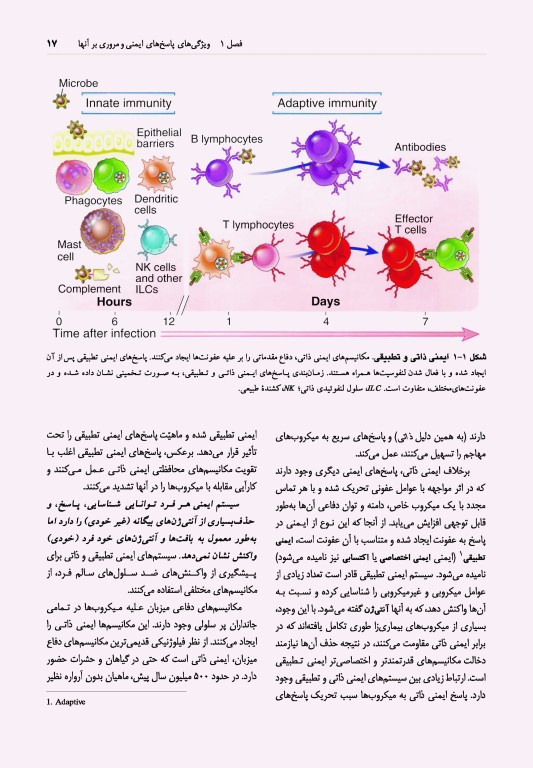 ایمونولوژی سلولی و مولکولی ابوالعباس 2022 دکتر کیهانی