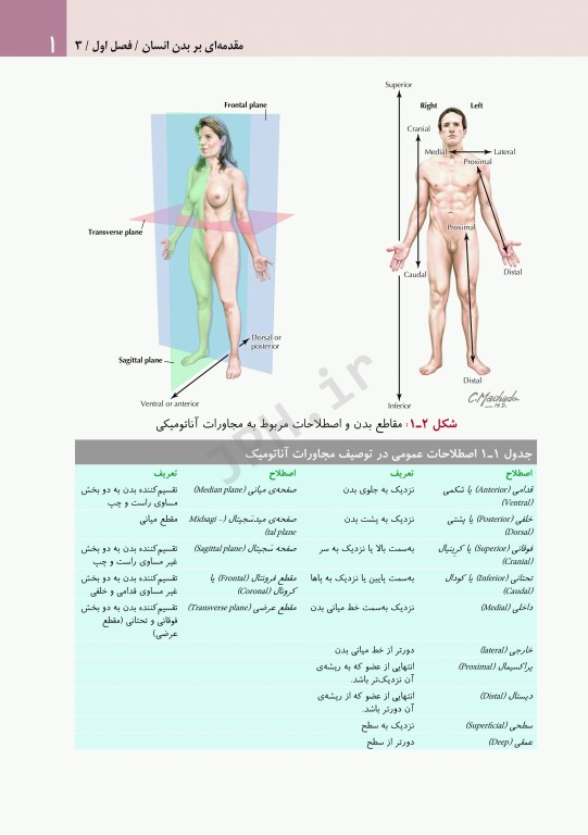آناتومی بالینی نتر 2014