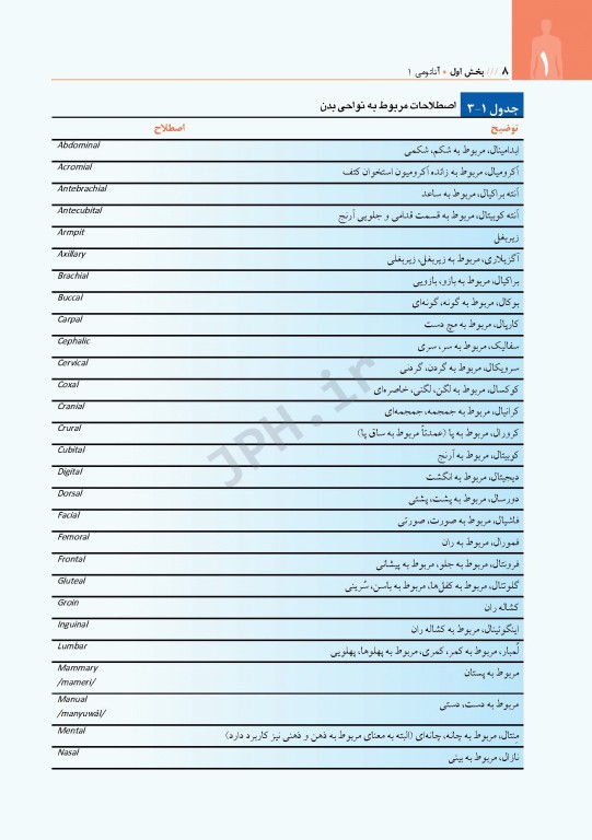 آناتومی برای دانشجویان هوشبری دکتر گلچینی