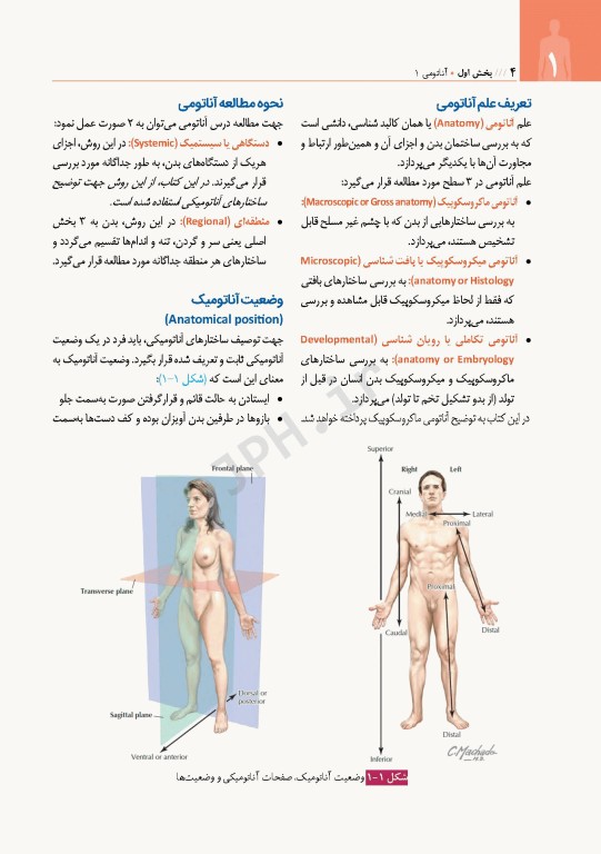 آناتومی برای دانشجویان هوشبری دکتر گلچینی