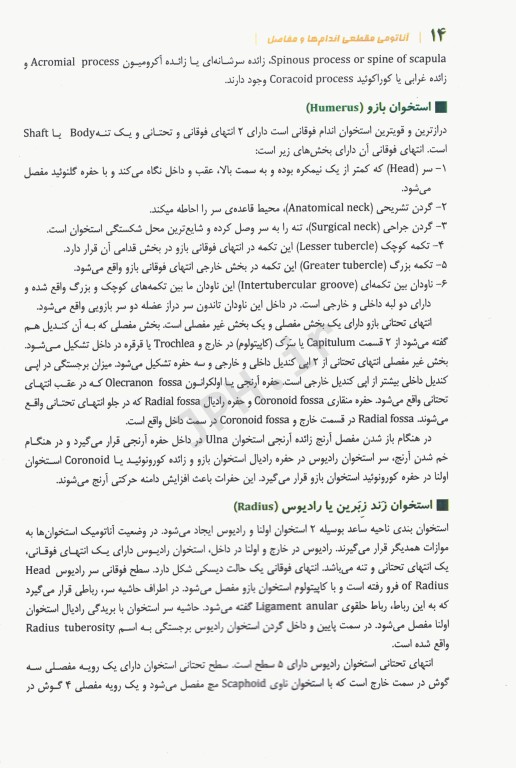 آناتومی مقطعی سر و گردن همراه با آموزش تصاویر CT scan و MRI