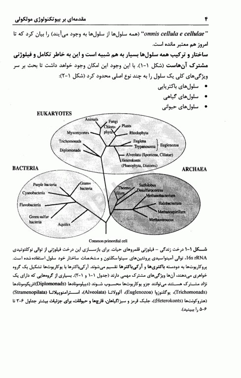 مقدمه‌ای بر بیوتکنولوژی مولکولی جلد1 از زیست‌شناسی سلولی تابیوتکنولوژی مولکولی