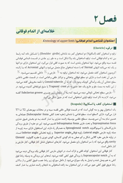 آناتومی مقطعی سر و گردن همراه با آموزش تصاویر CT scan و MRI