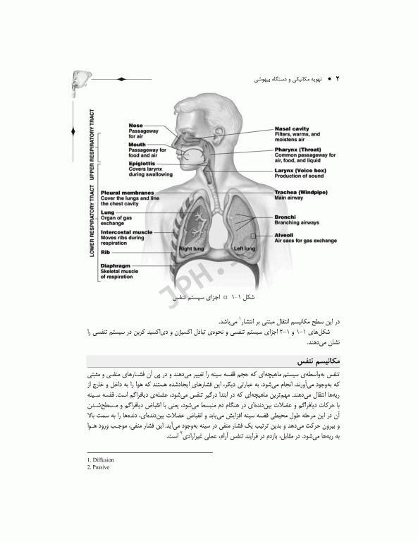 تهویه مکانیکی و دستگاه بیهوشی