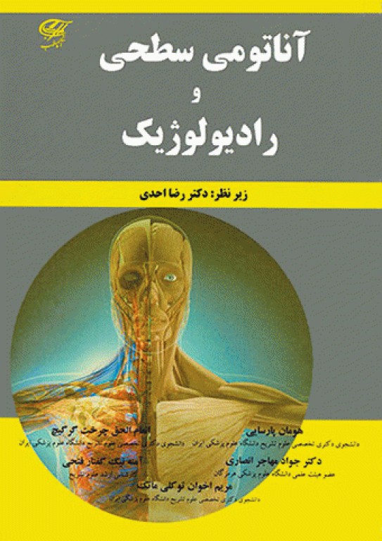آناتومی سطحی و رادیولوژیک